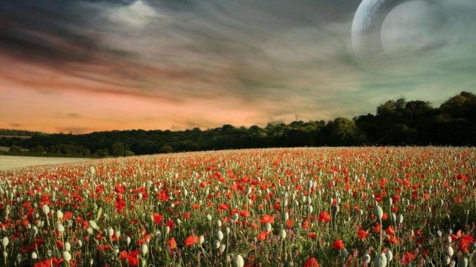 rust有什么适合萌新练手的项目吗？